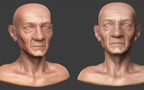 Head sculpt 3D models